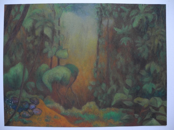 Costa Rica jungle