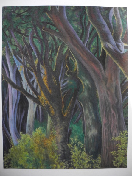 Magic wood