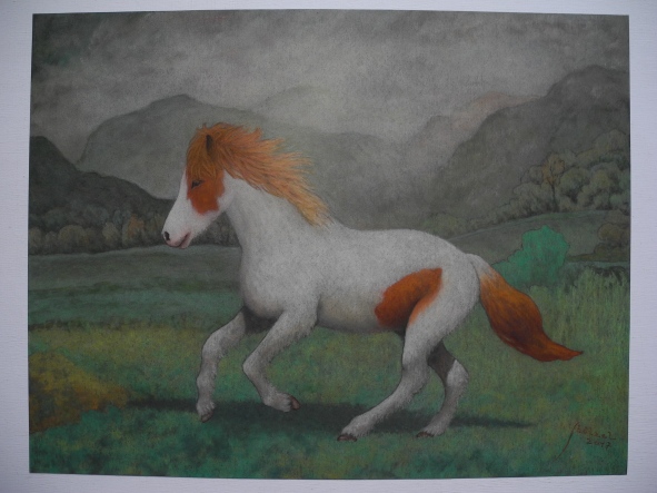 Hötti, the Iceland pony